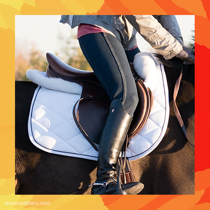 Equestrian Gear 