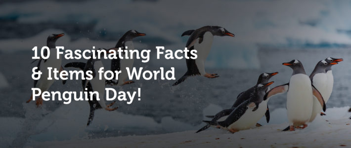 10 Fascinating Facts and Items for World Penguin Day!