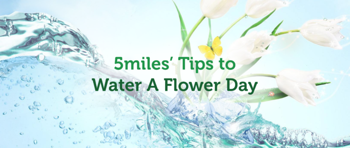 5miles’ Tips to Water A Flower Day